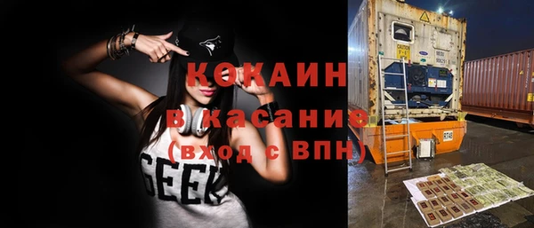 дмт Арсеньев