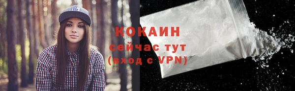 дмт Арсеньев