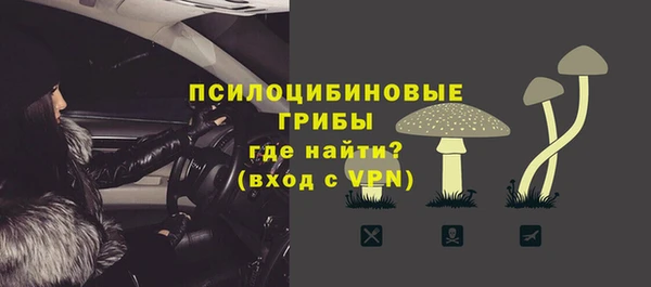 дмт Арсеньев