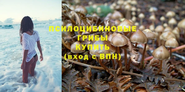 Альфа ПВП Армянск