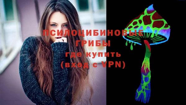 дмт Арсеньев