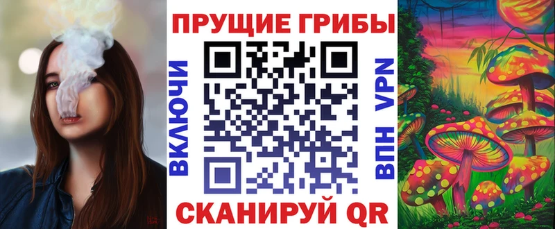 кракен зеркало  Полтавская  Галлюциногенные грибы прущие грибы 